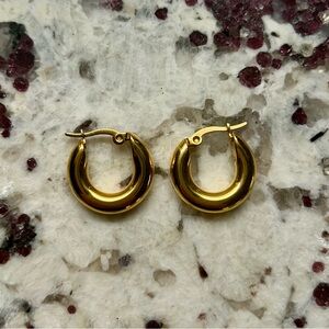 Elegant Gold Hoop Earrings